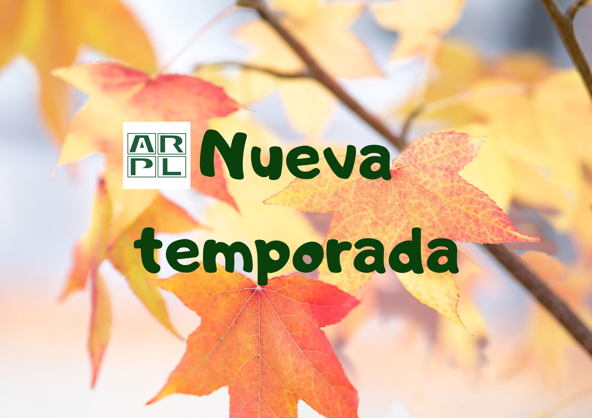 Rebajas Arpel